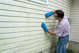 Affordable Siding Repair and Maintenance Services in Port Clinton, OH